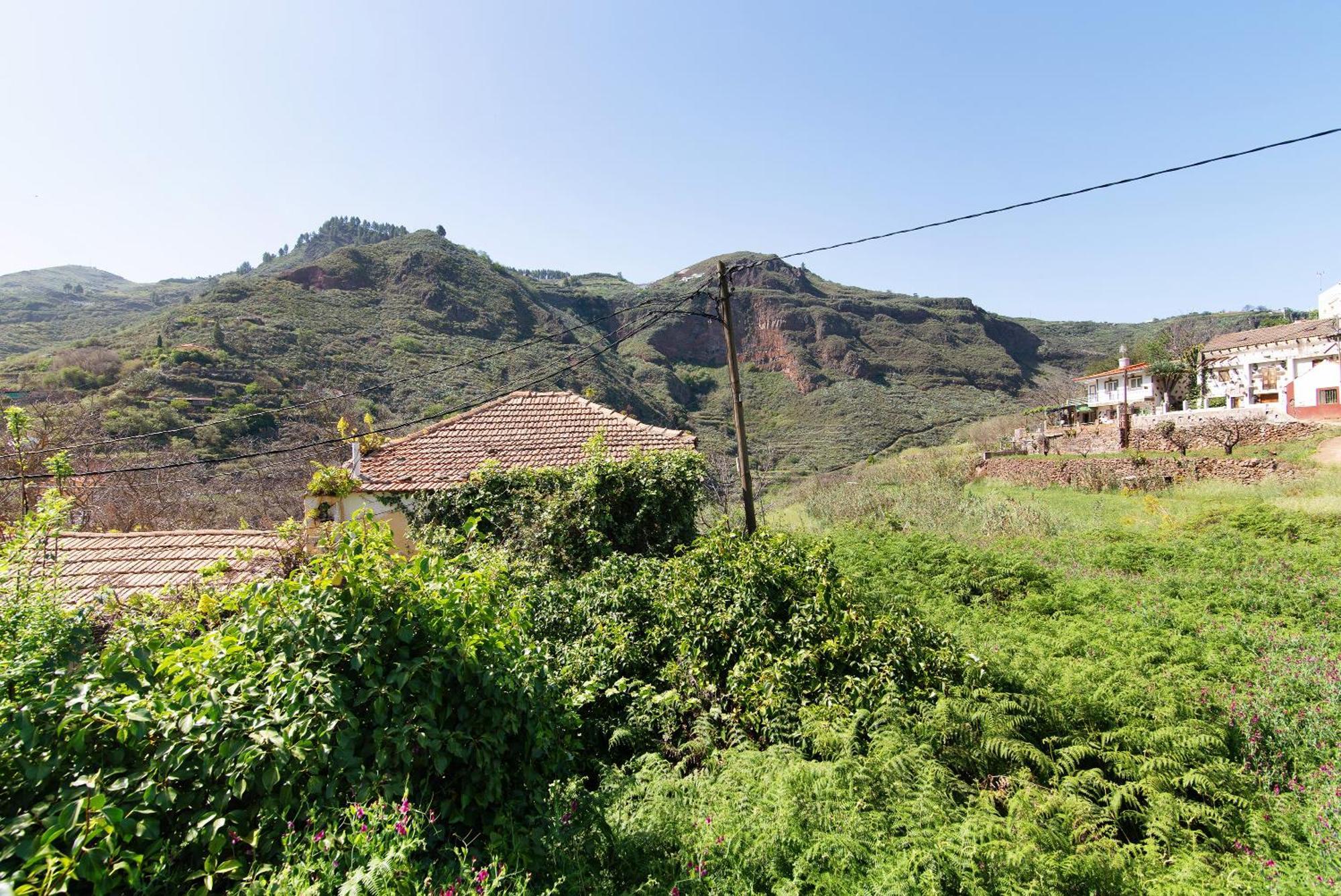 Villa Alma Vega de San Mateo Dış mekan fotoğraf
